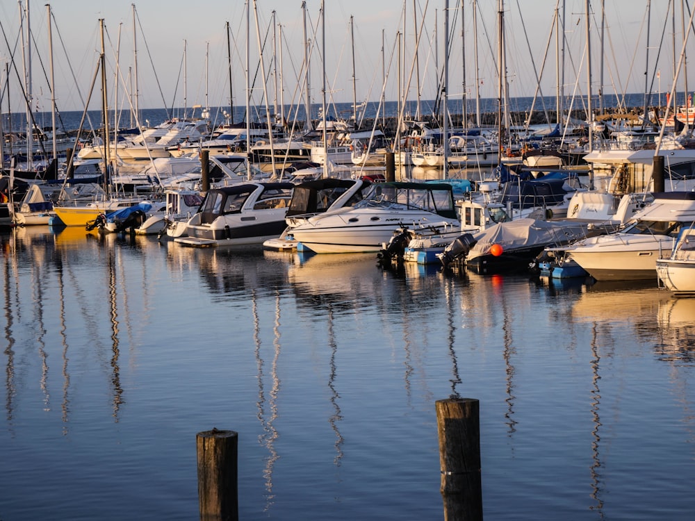 white and blue boats on water during daytime