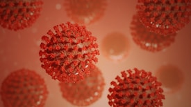 Multiple red spherical objects resembling virus particles, featuring a spiky outer surface that suggests the coronavirus structure, float against a blurry red-toned background.