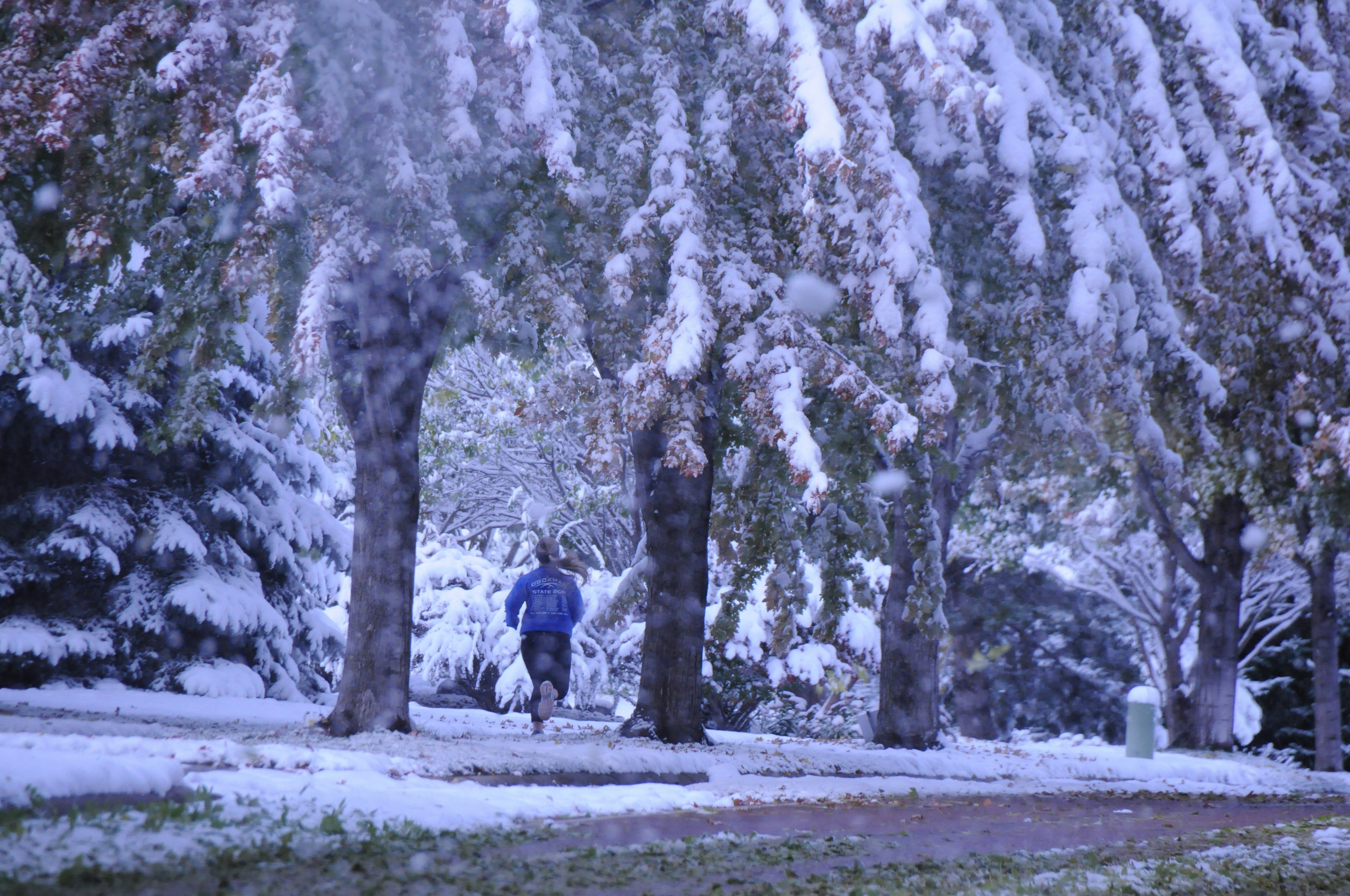 Men's Performance Hoodie