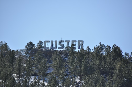 Large letters spelling 'CUSTER' are mounted on a hillside covered with pine trees. The letters are white and are positioned against a clear blue sky, providing a stark contrast to the dense green foliage.