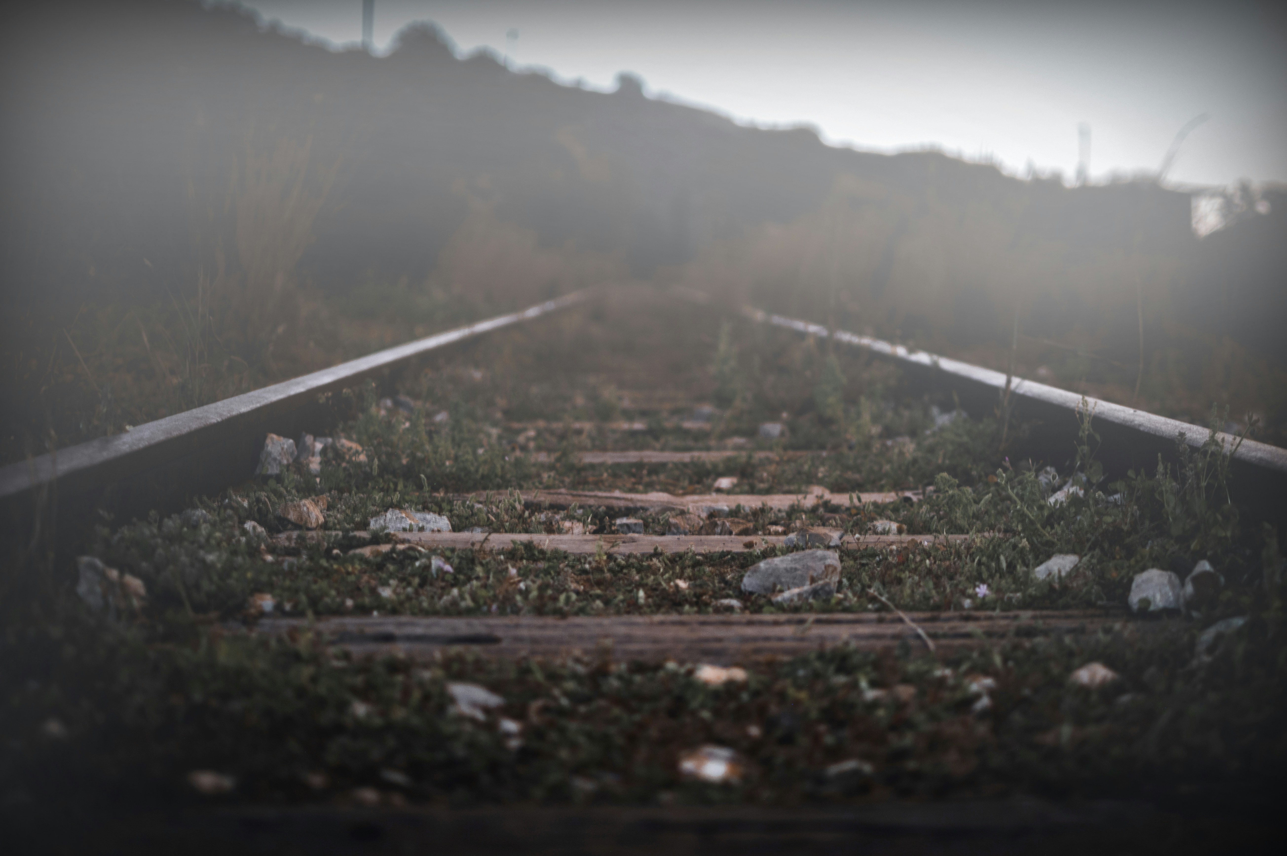 Photo by mantasos