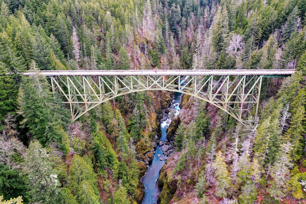 昼間の緑の木々の間に川に架かる白い橋