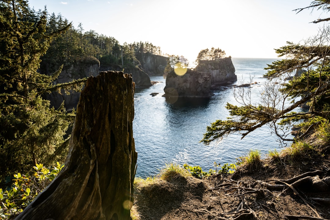 brown rock formation on body of water during daytime