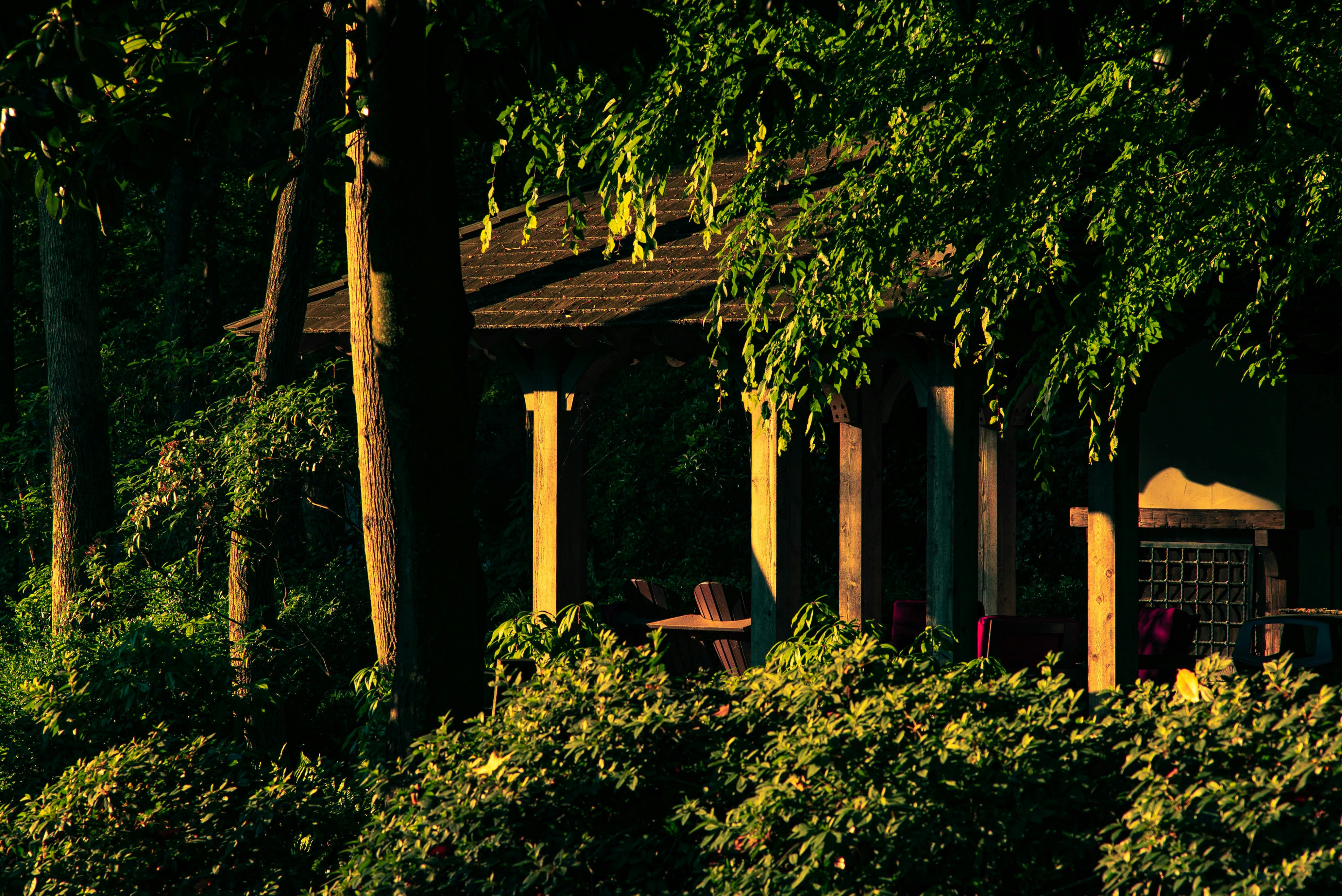 Photo by griestprojects