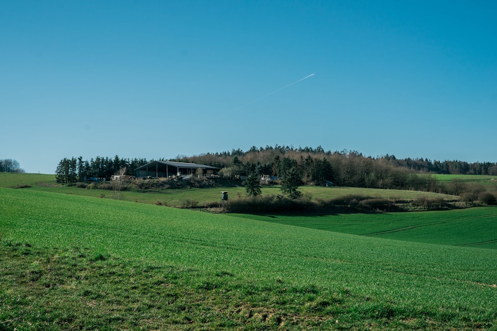 green grass field under blue sky during daytime