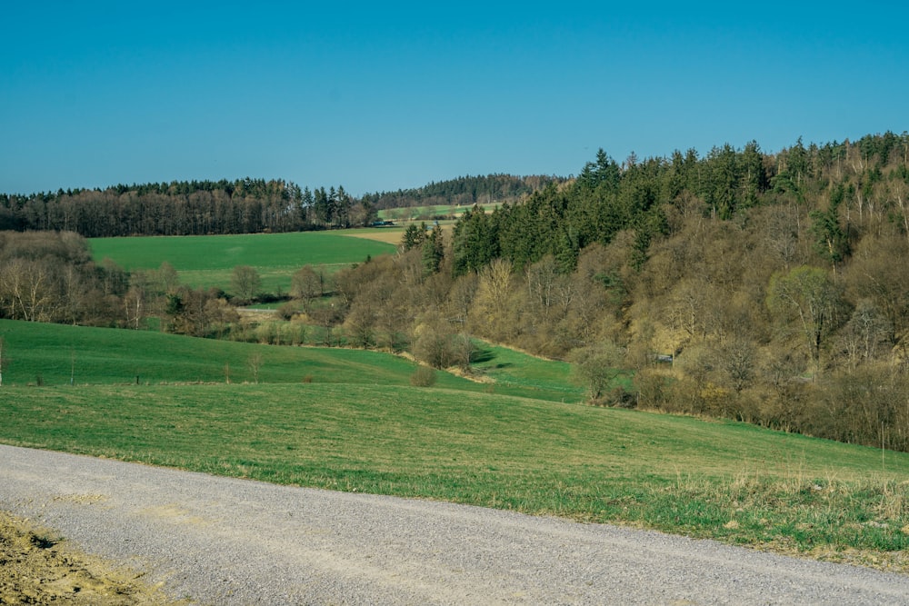 green grass field and trees under blue sky during daytime