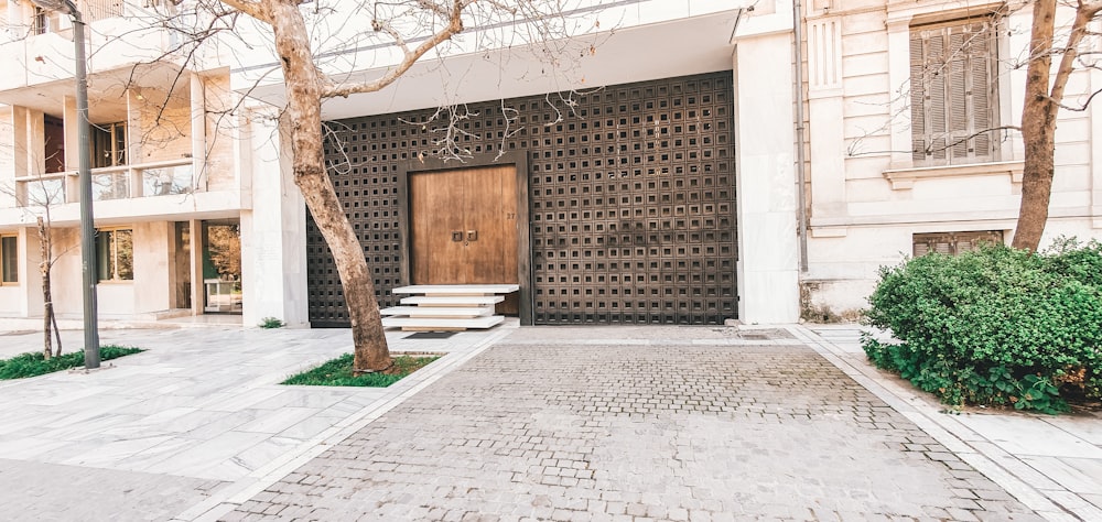 brown bare tree beside white concrete building during daytime