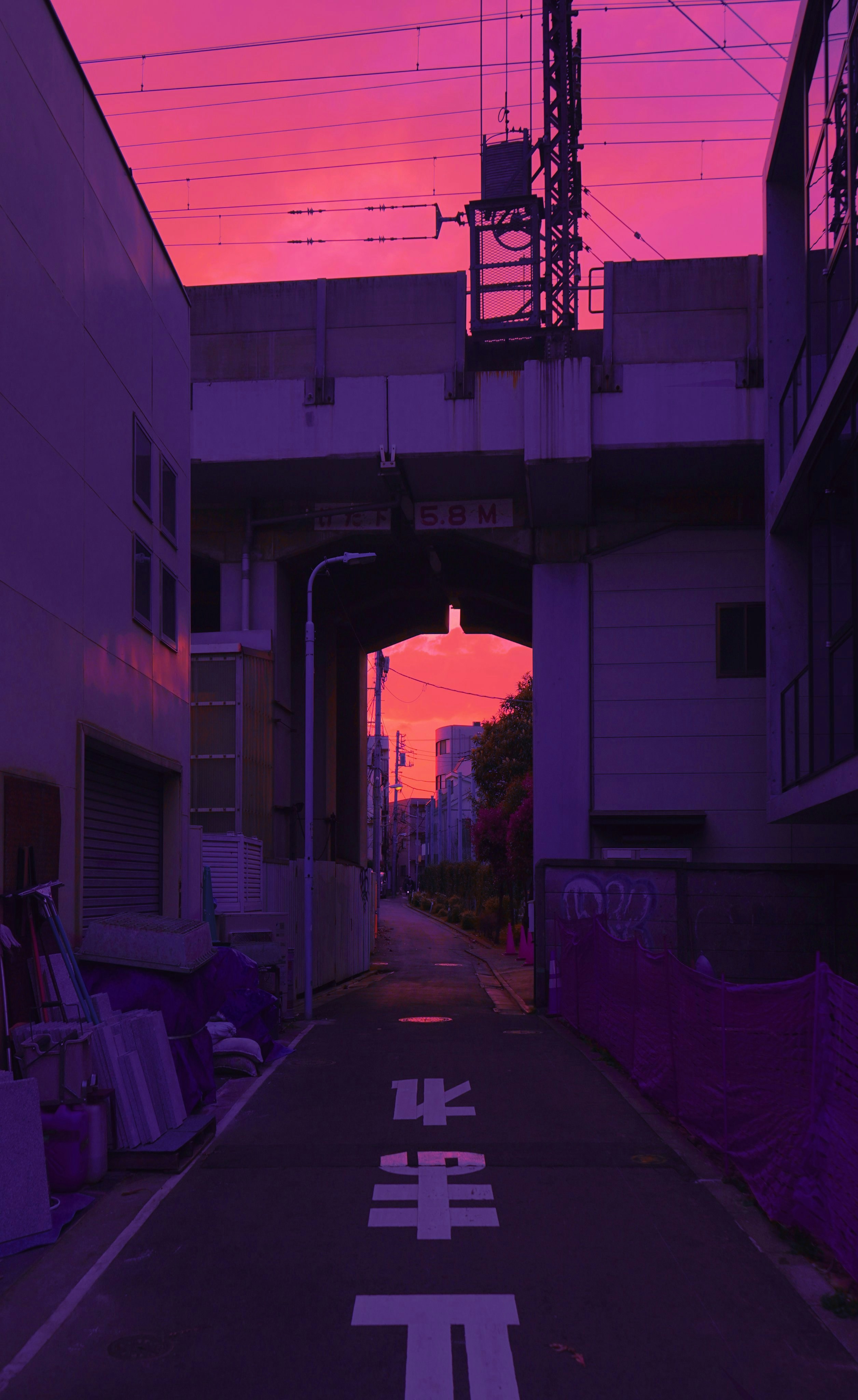 white and red building with green trees during daytime