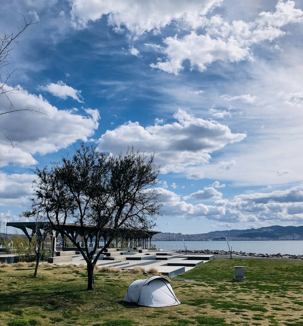 green grass field with trees and body of water under blue and white cloudy sky during