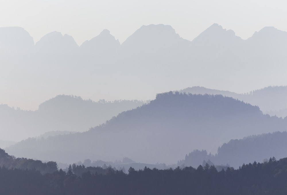 green trees on mountain during daytime