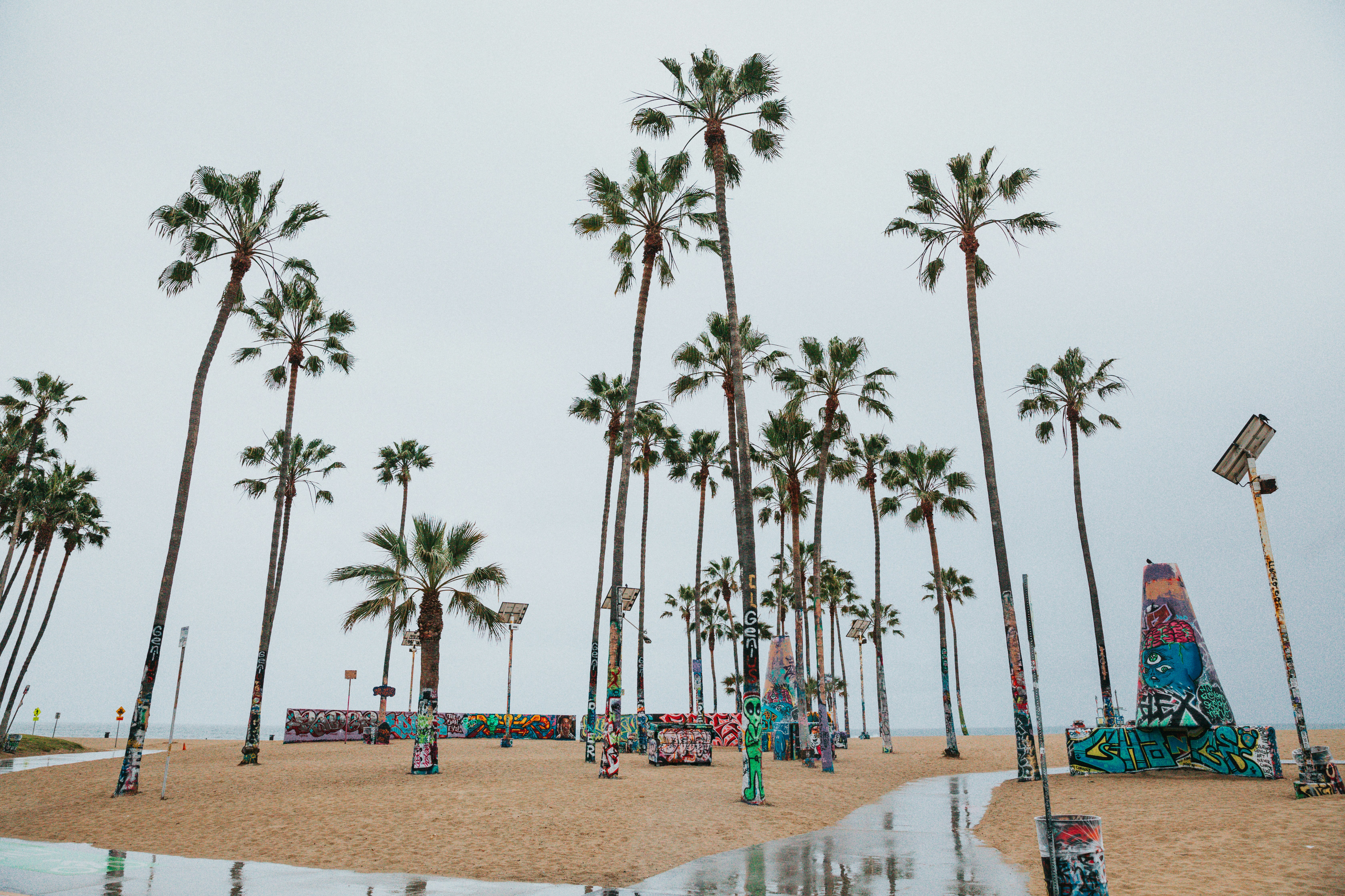 Photo by nate_dumlao