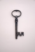 black and silver skeleton key