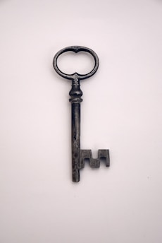 black and silver skeleton key