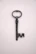 black and silver skeleton key