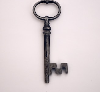 black and silver skeleton key
