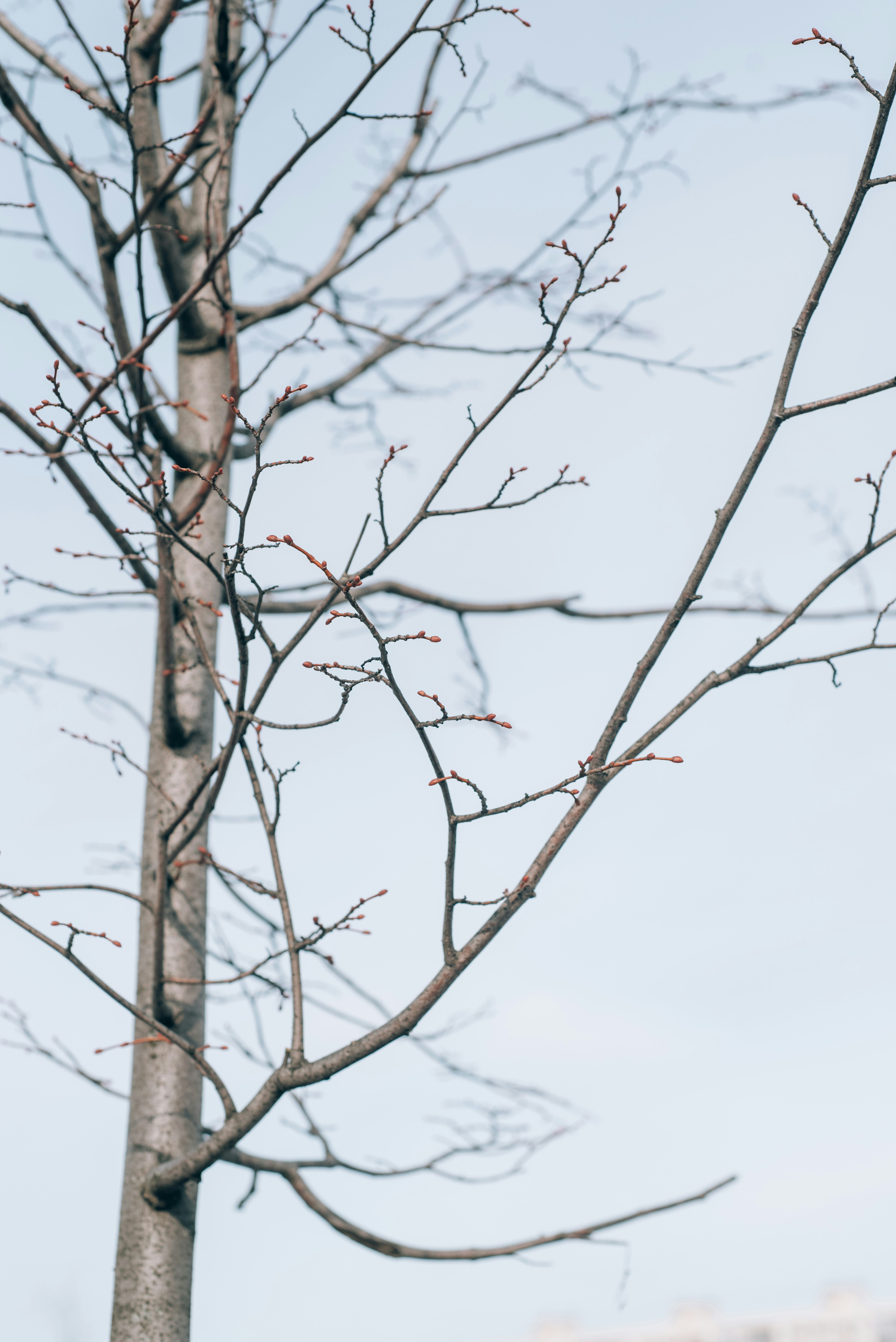 Photo by mmaslikhova