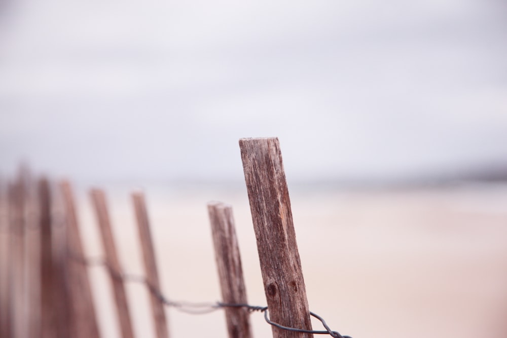 brown wooden fence during daytime