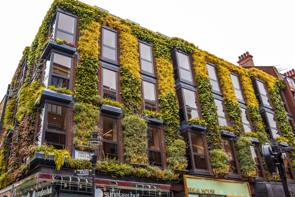 Edificio de hormigón amarillo y marrón