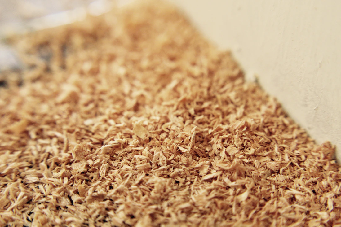 Fine pale seasoning powder in a clean container