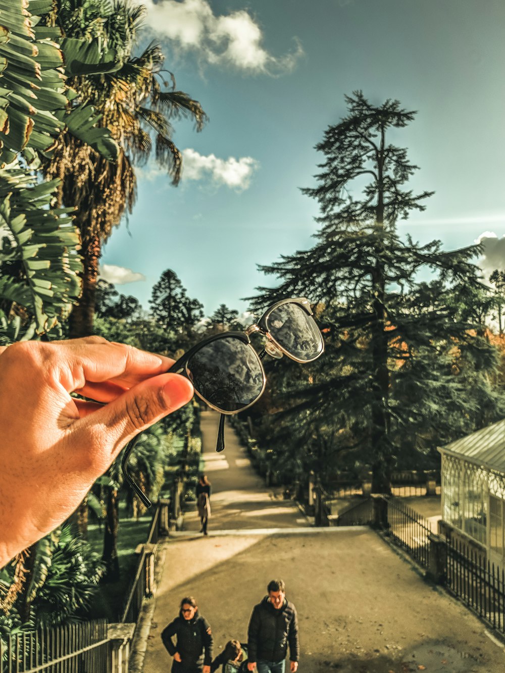 person holding magnifying glass near green trees during daytime