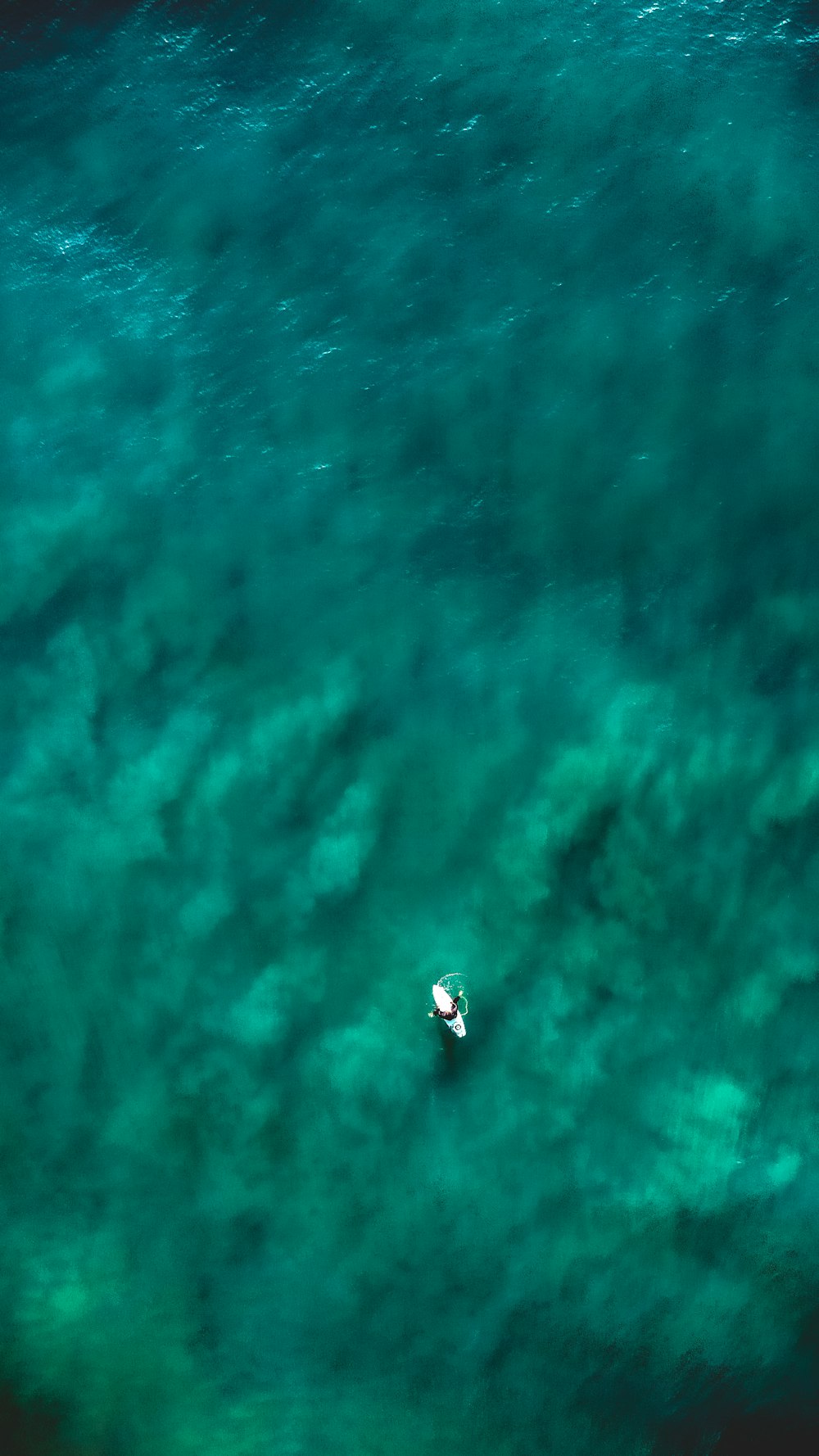 Vista aerea della barca in mare durante il giorno