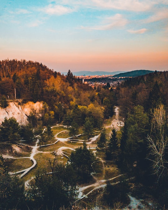 aerial view of trees and road during daytime in Podutik Slovenia