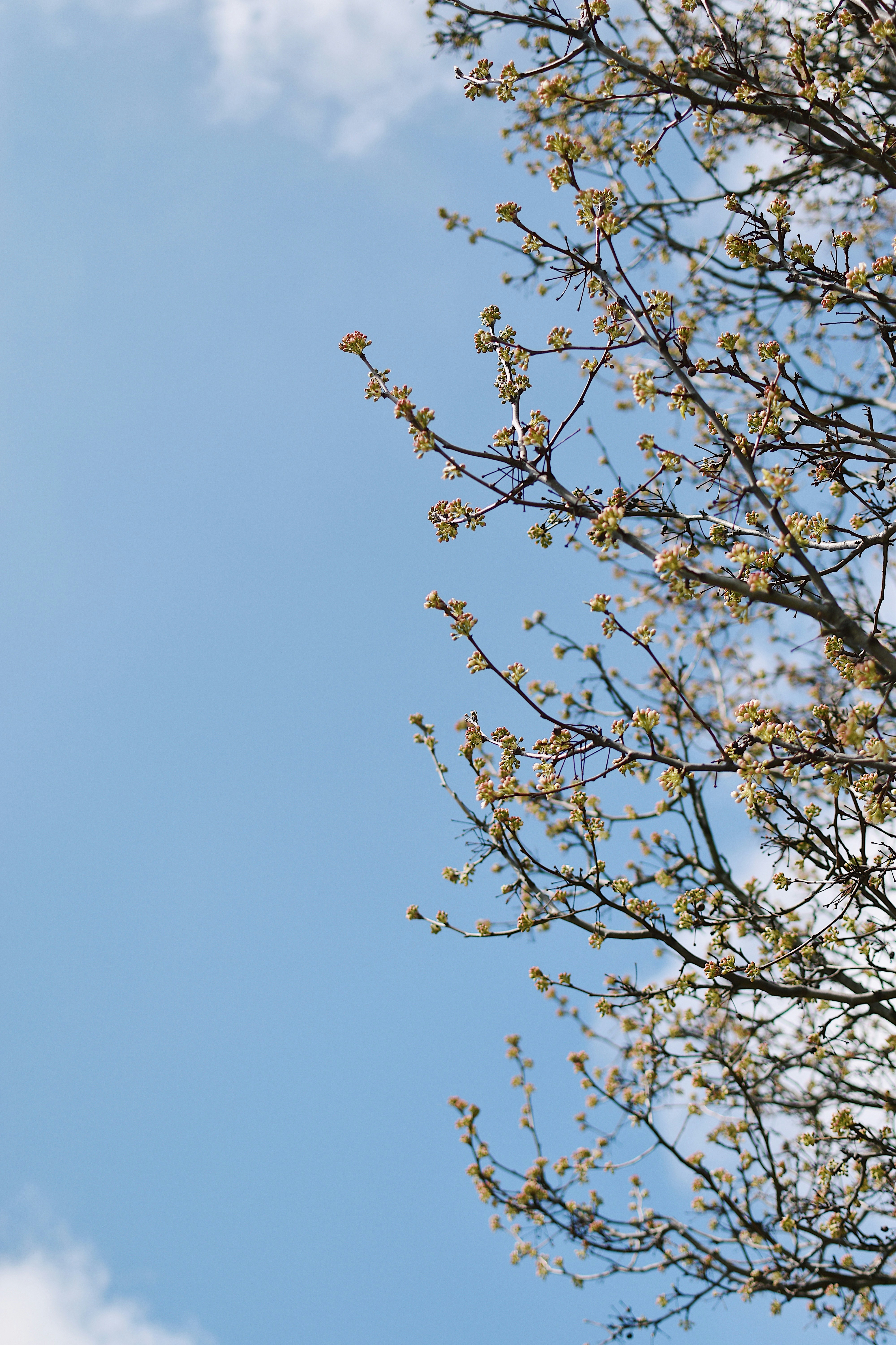 Photo by kirstinweisman