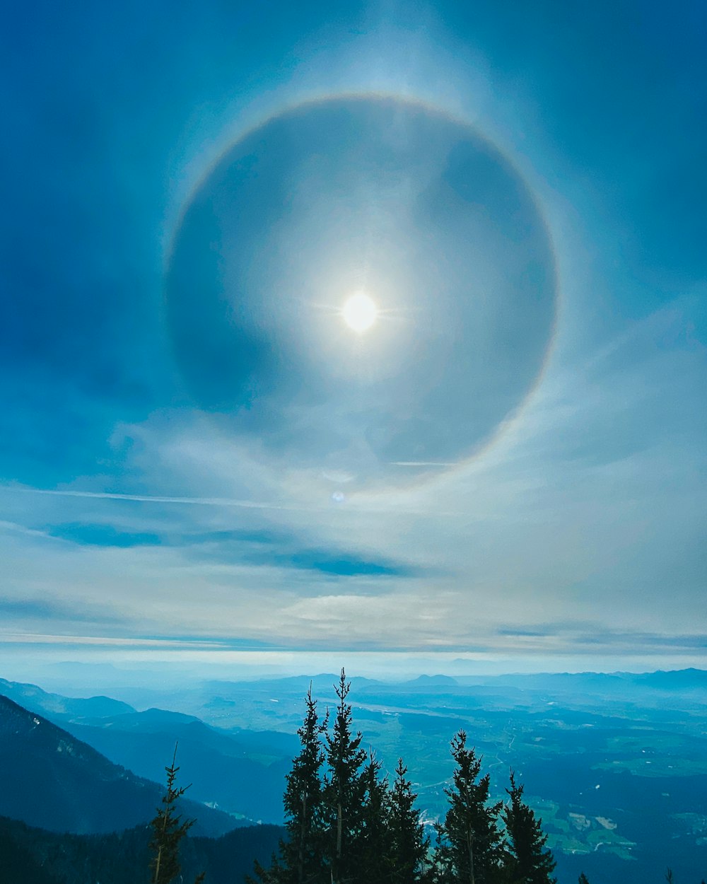 arbres verts sur la montagne sous le ciel bleu pendant la journée