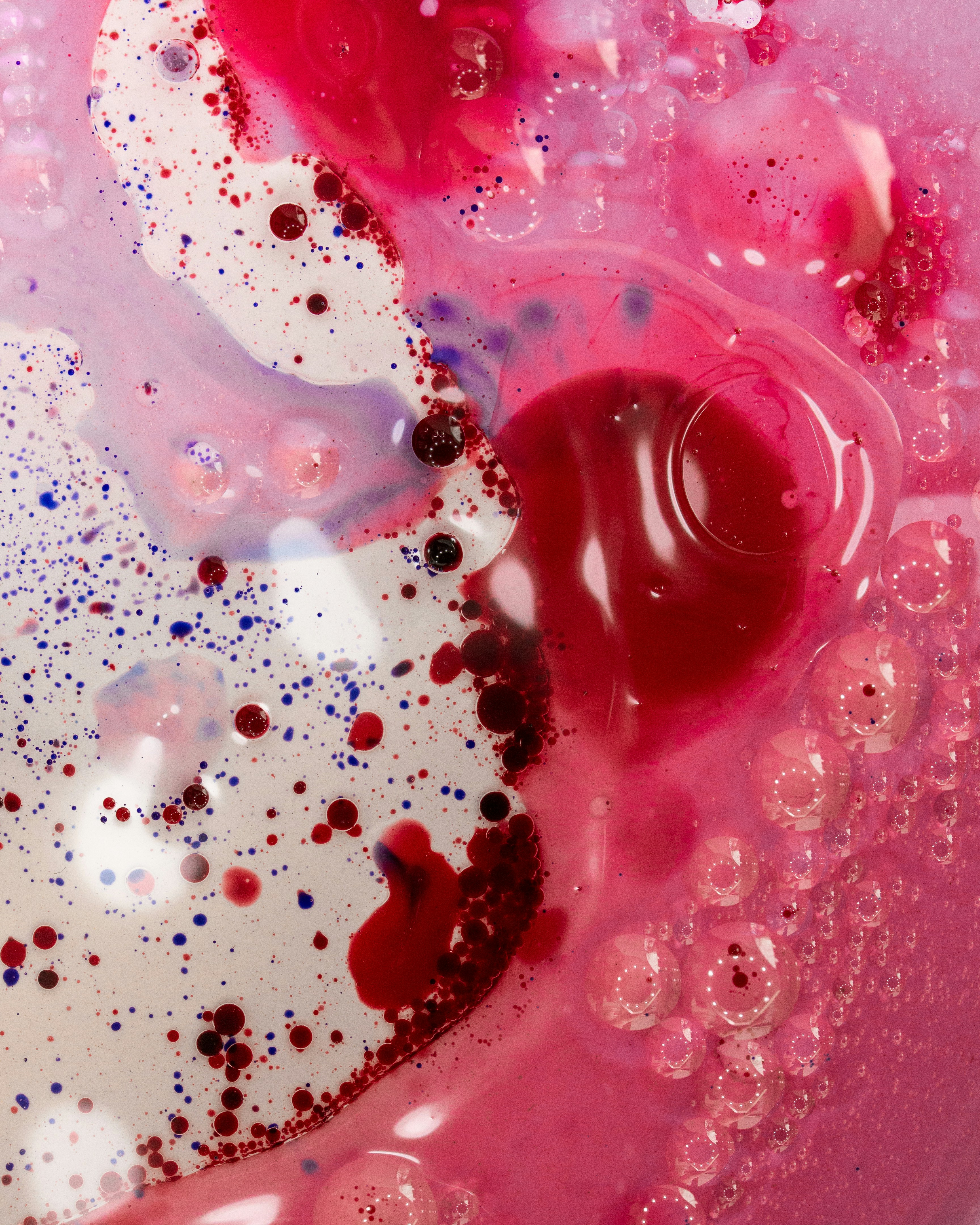 Photo by sahand_hoseini