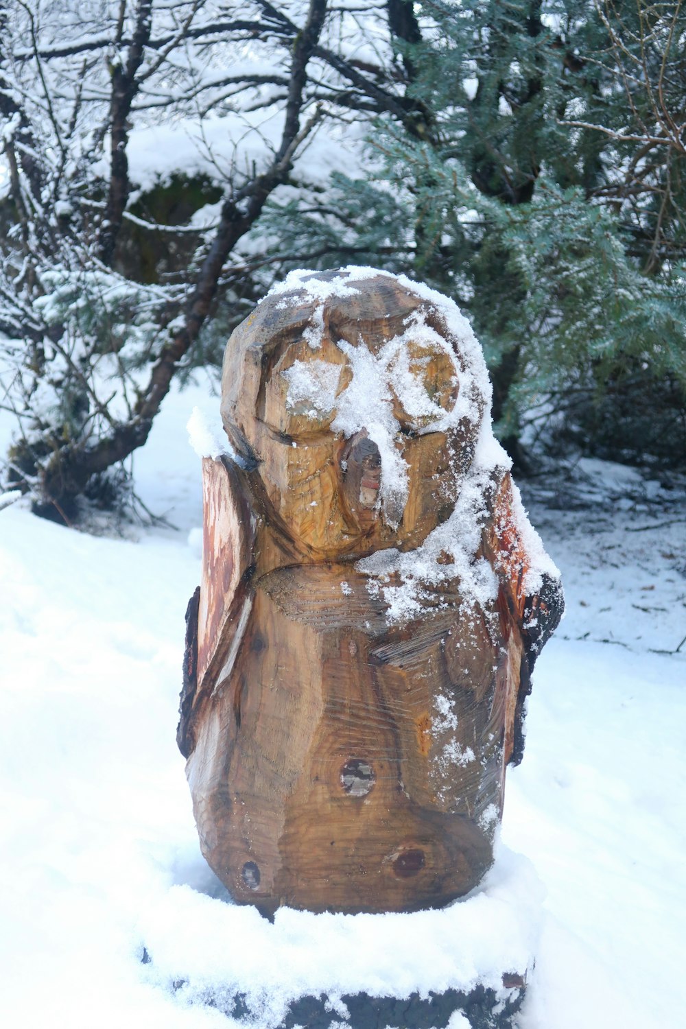 brown wood log on snow covered ground