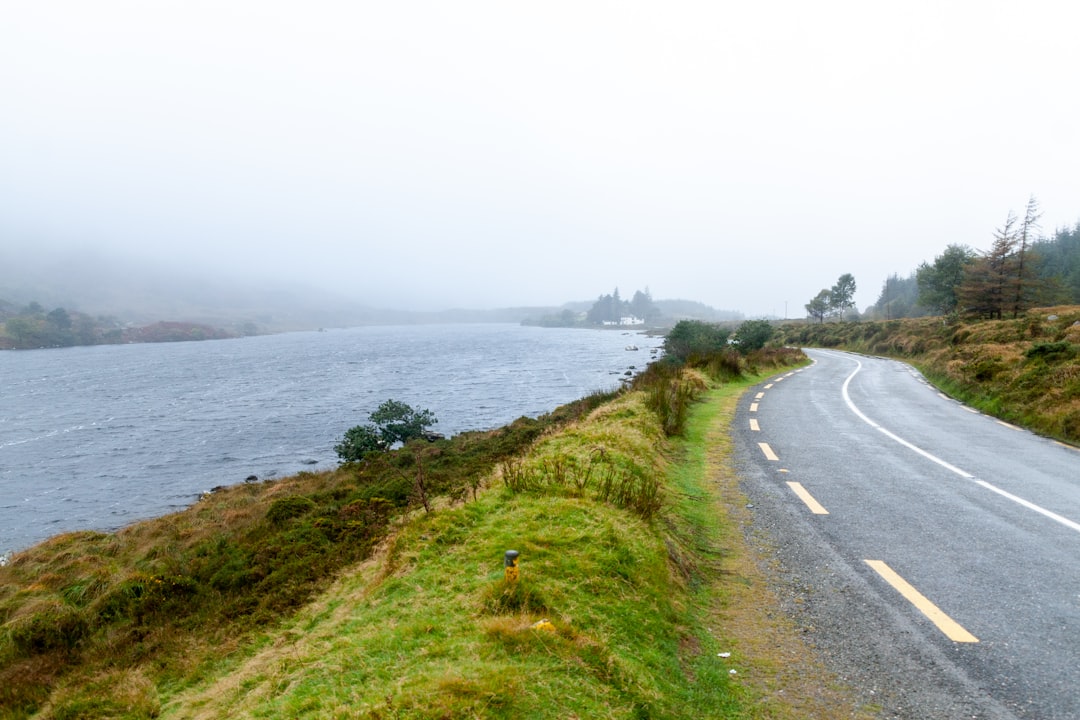 gray concrete road beside green grass field near body of water during daytime