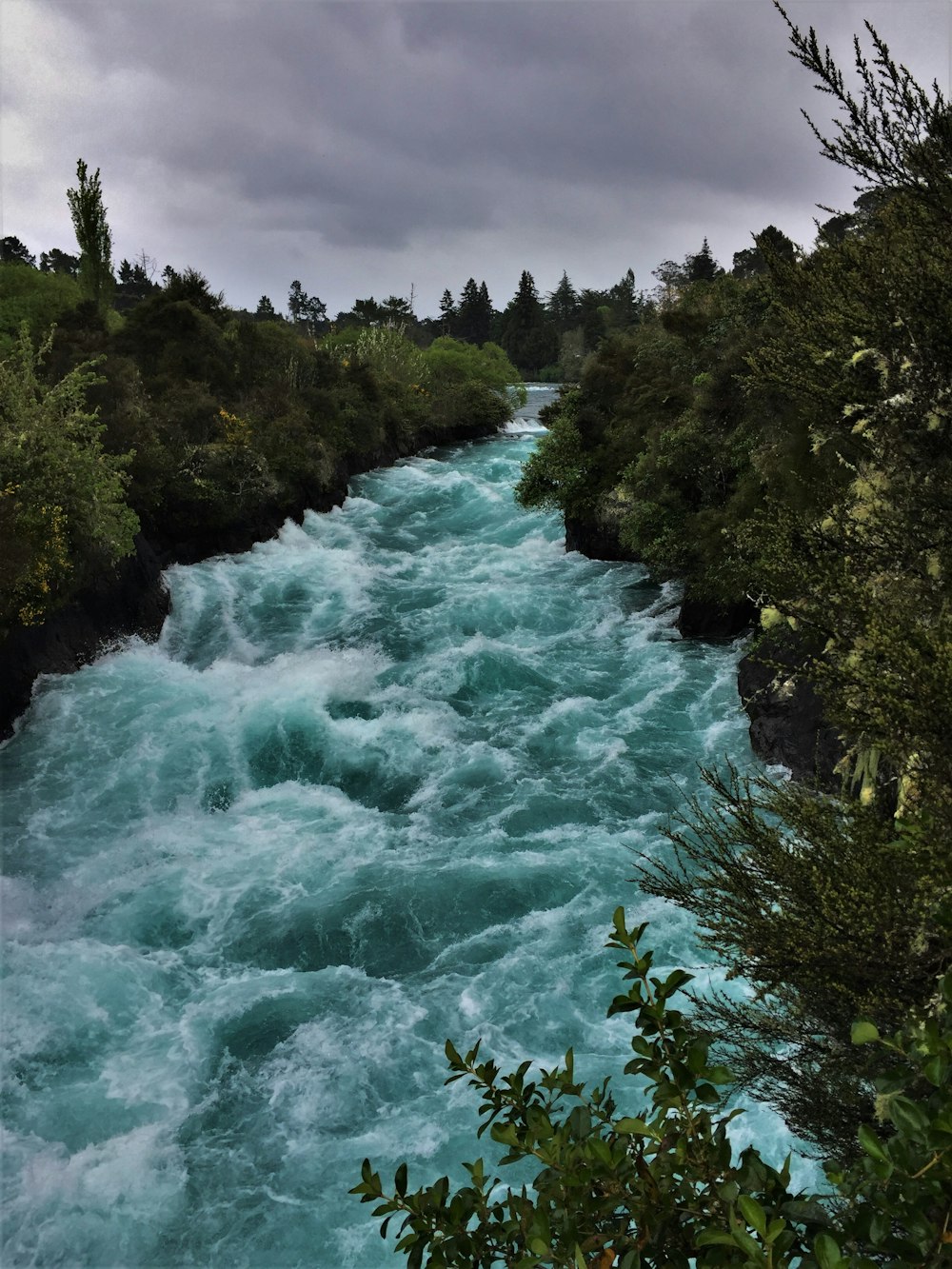 green trees beside river under blue sky during daytime