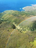 green and brown island during daytime