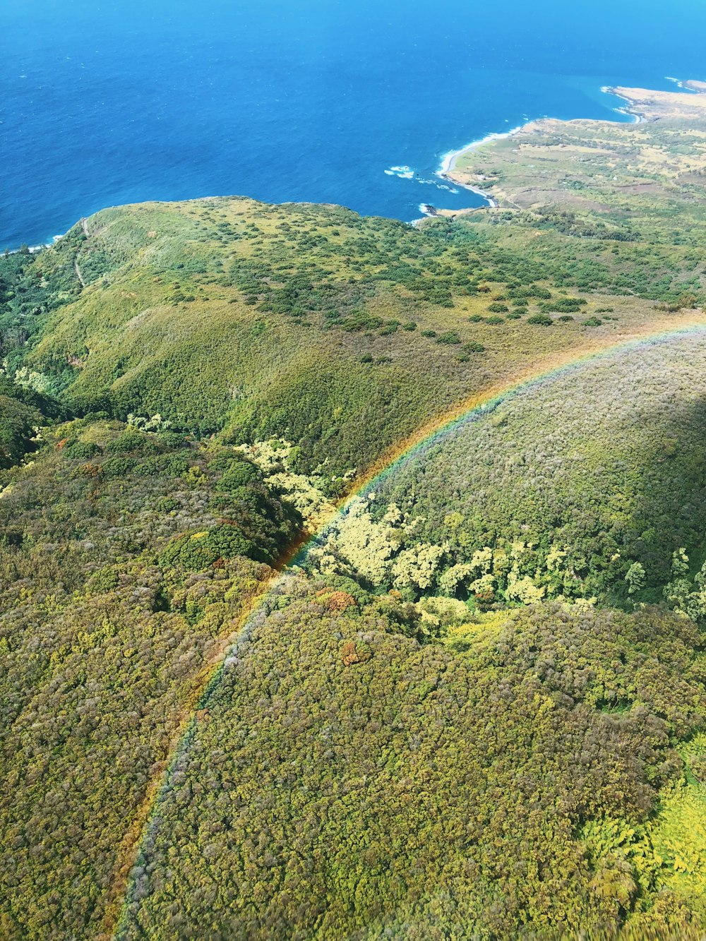 green and brown island during daytime