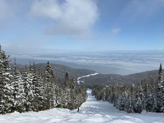 person in red jacket and blue pants standing on snow covered ground near green trees under in Le Massif de Charlevoix Canada