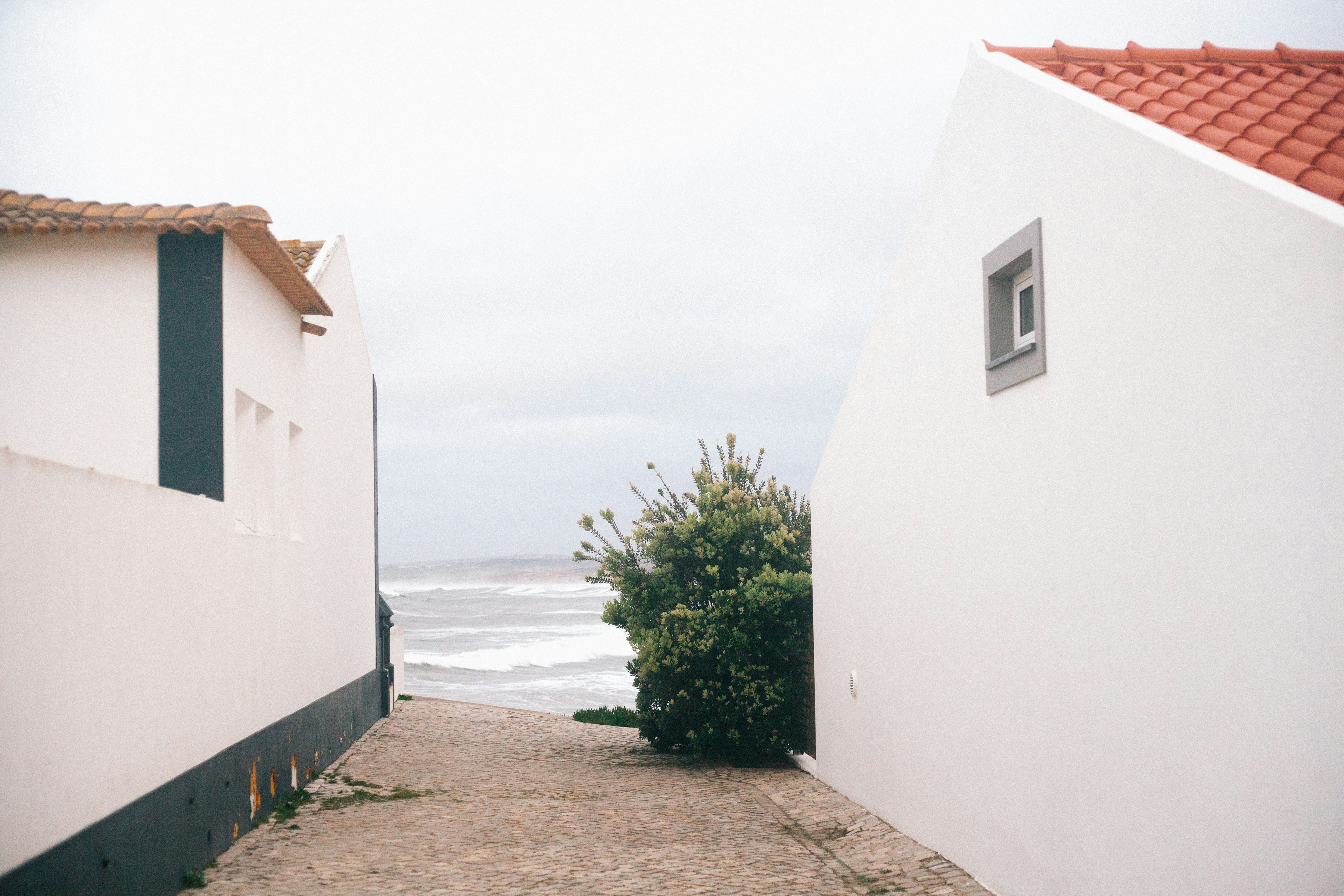 Photo by maryna_maliutina