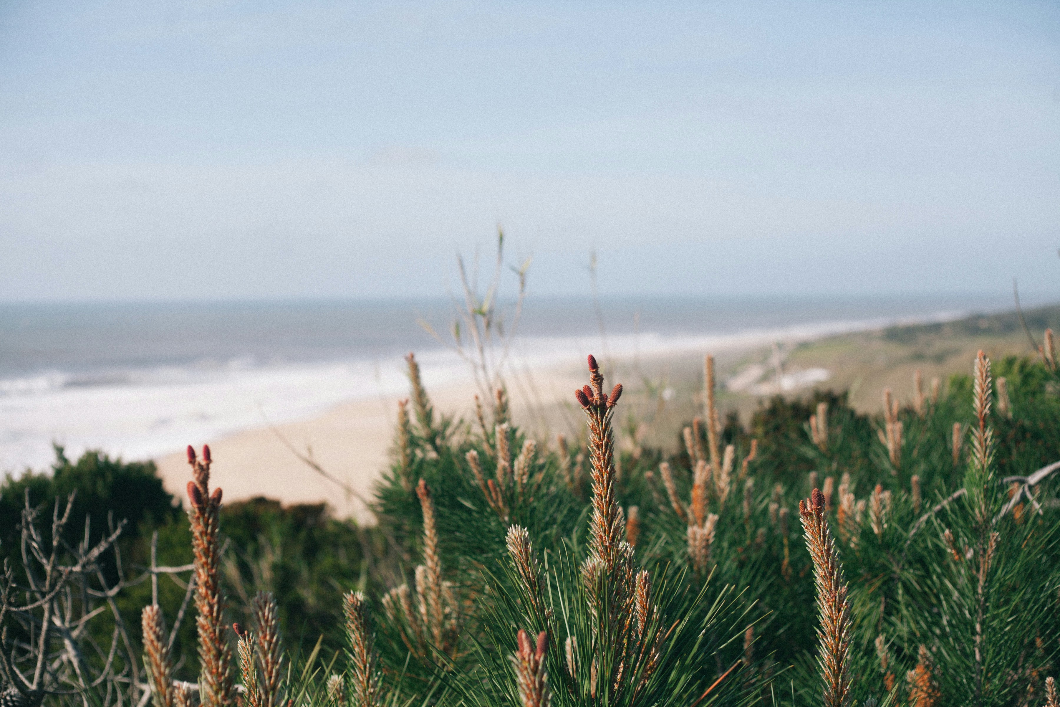 Photo by maryna_maliutina