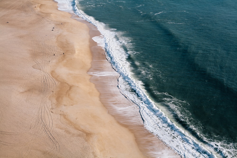 brown sand beach during daytime