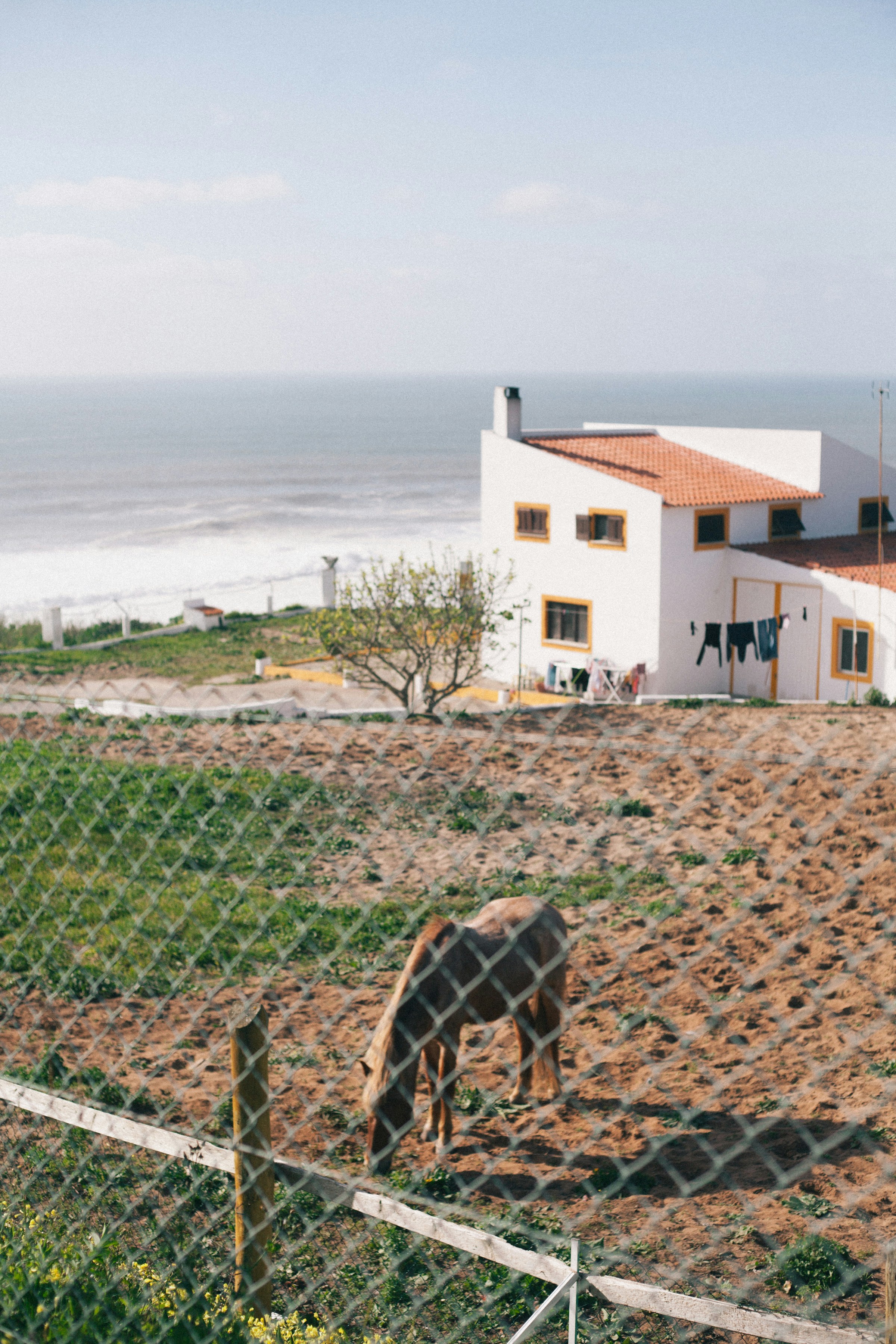 Aged Tawny Port barrels resting in the cool, dark cellars of Graham's in Portugal.