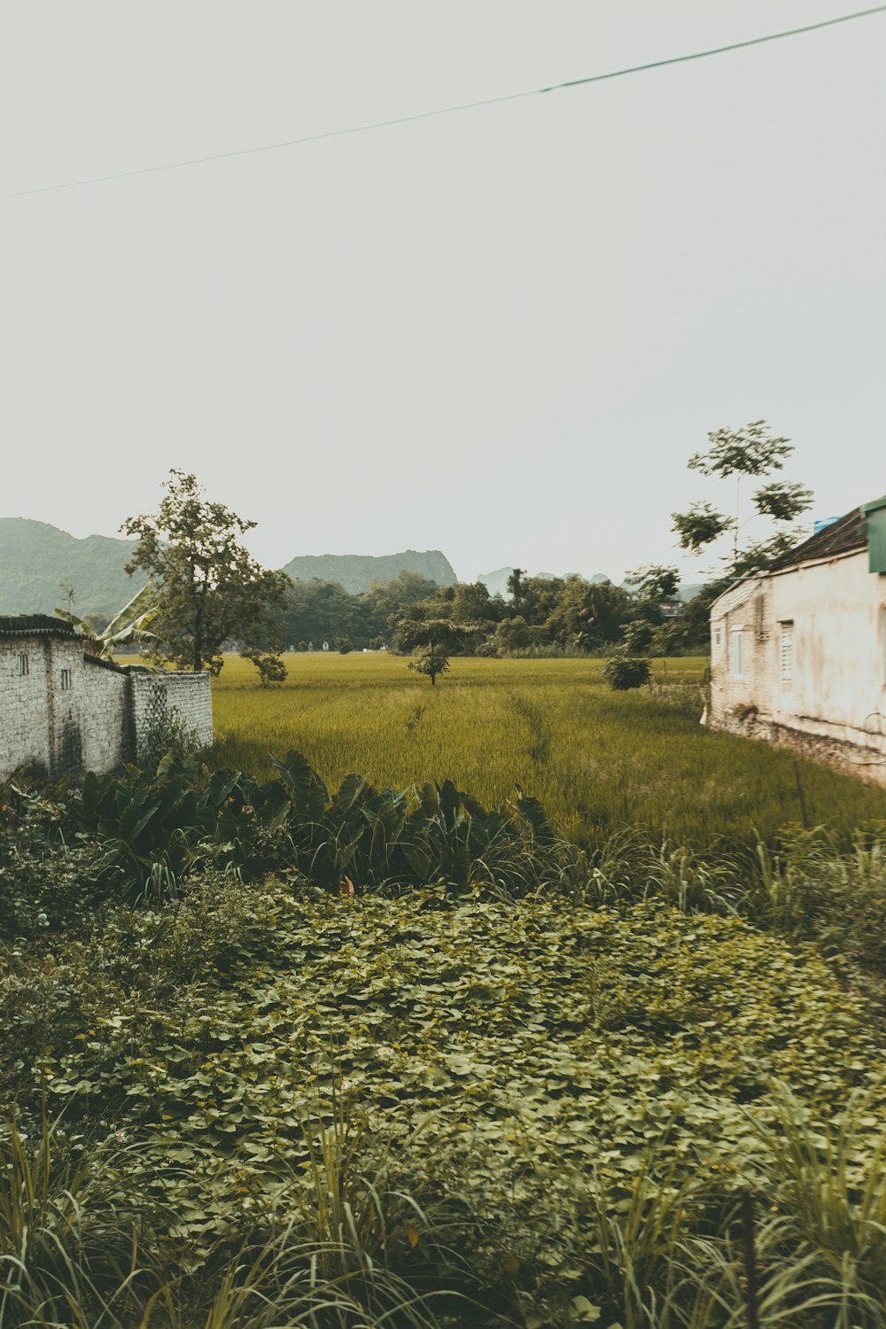 white wooden house near green grass field during daytime