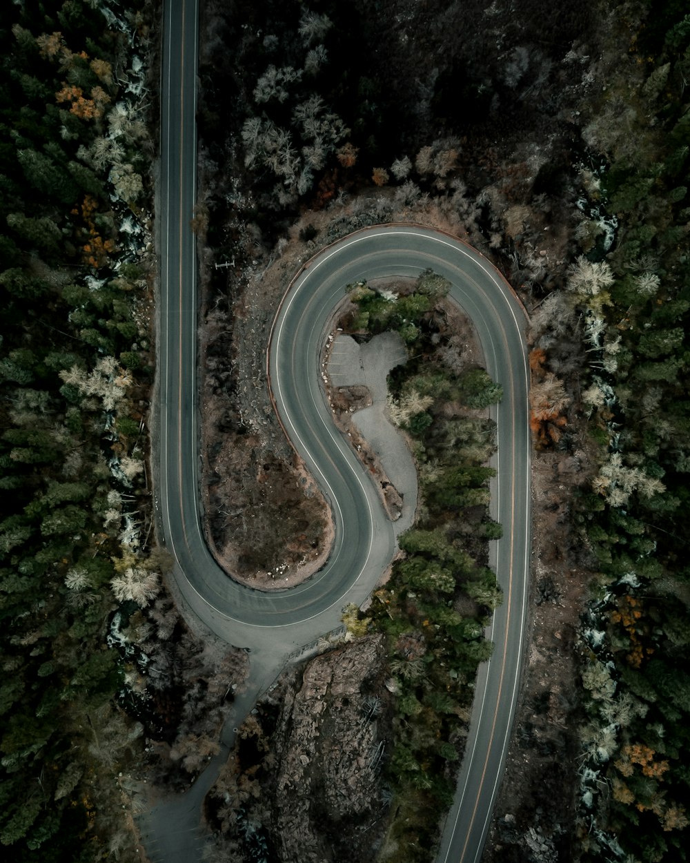 aerial view of road in between trees