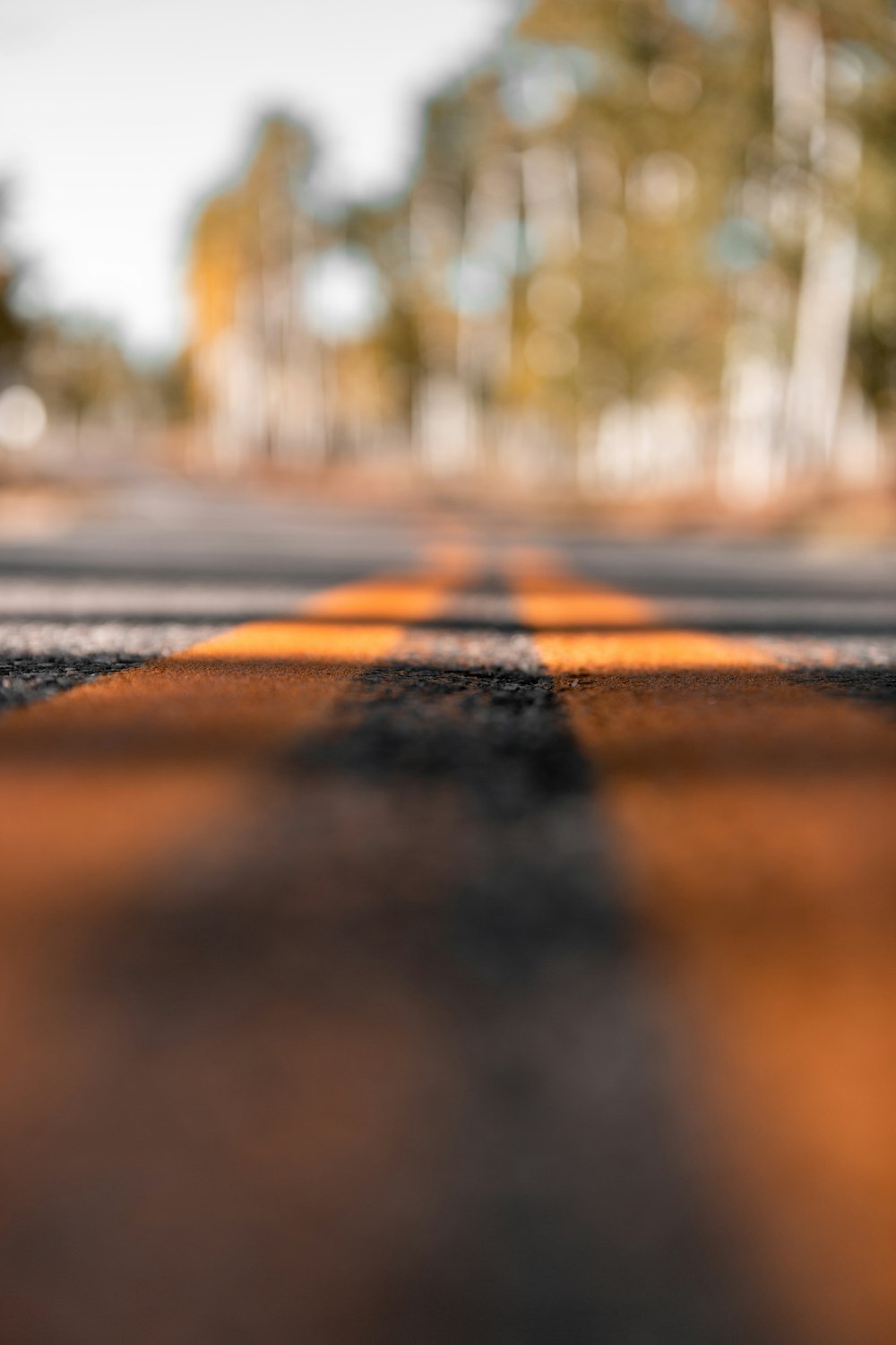 black and orange road during daytime