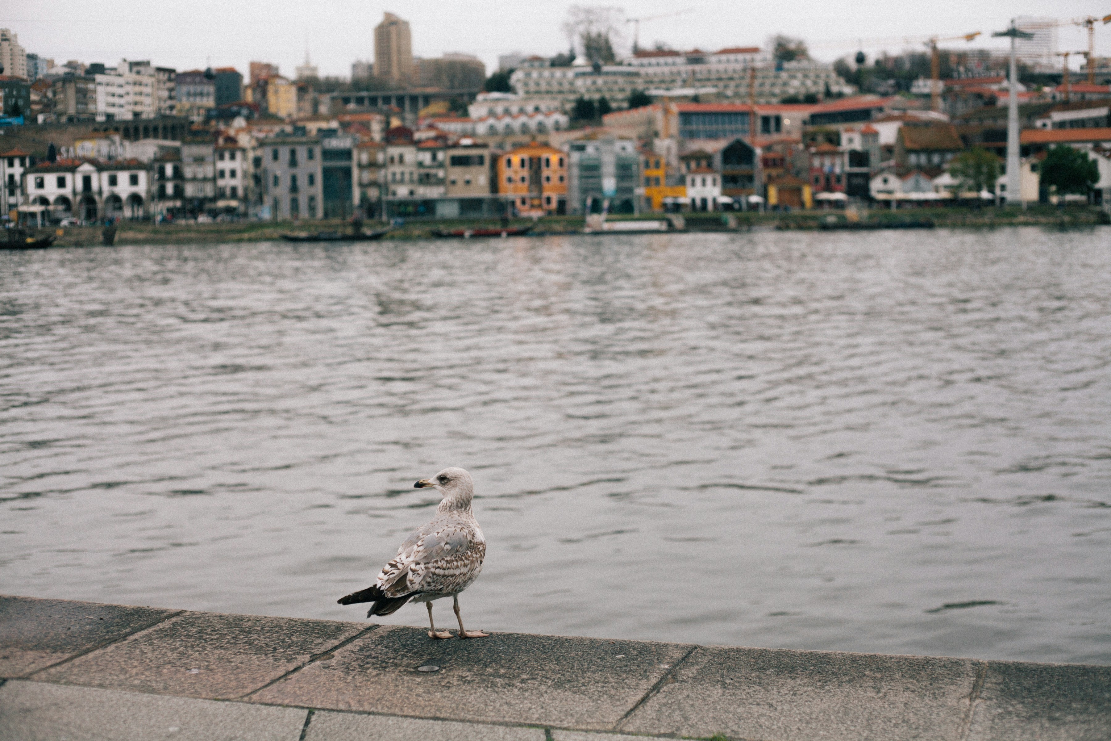 Photo by maryna_maliutina