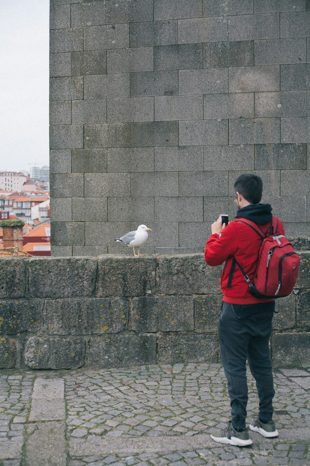 a man taking a picture of a seagull on a wall