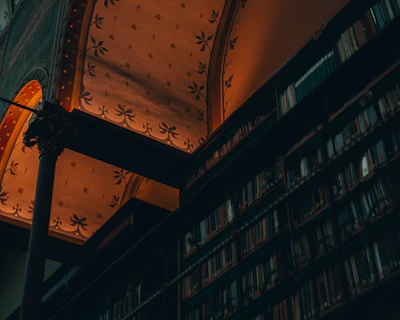 A serene library corner bathed in soft golden light with scrolls neatly arranged on royal purple shelves.