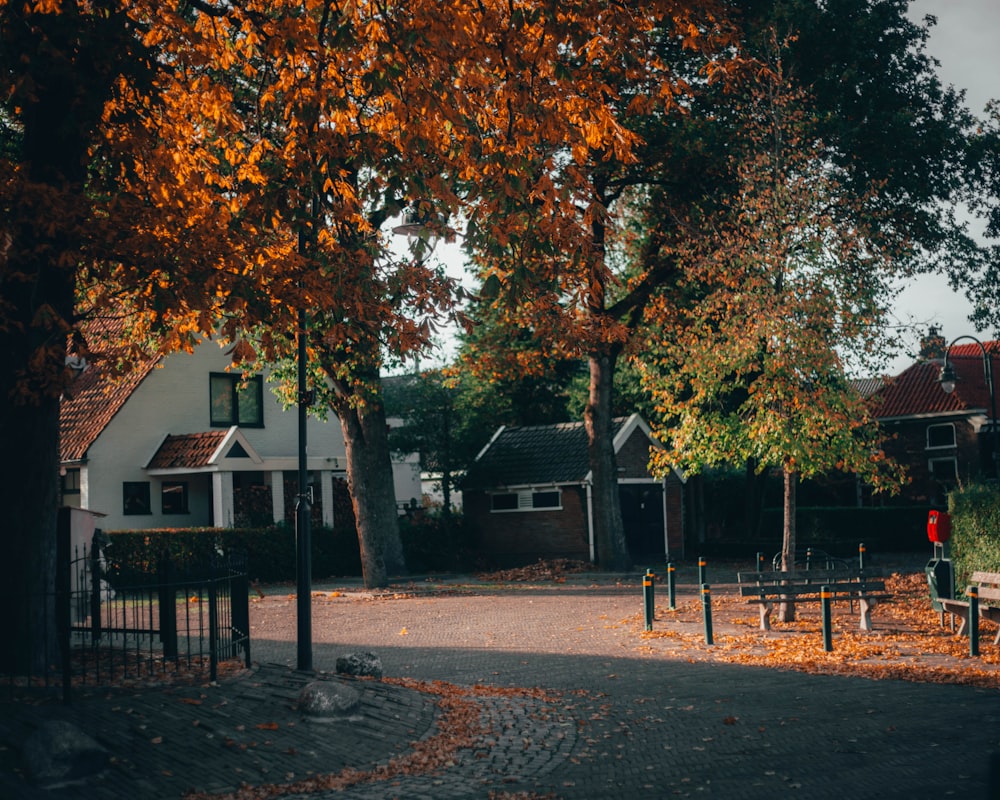 brown and green trees near brown wooden house during daytime