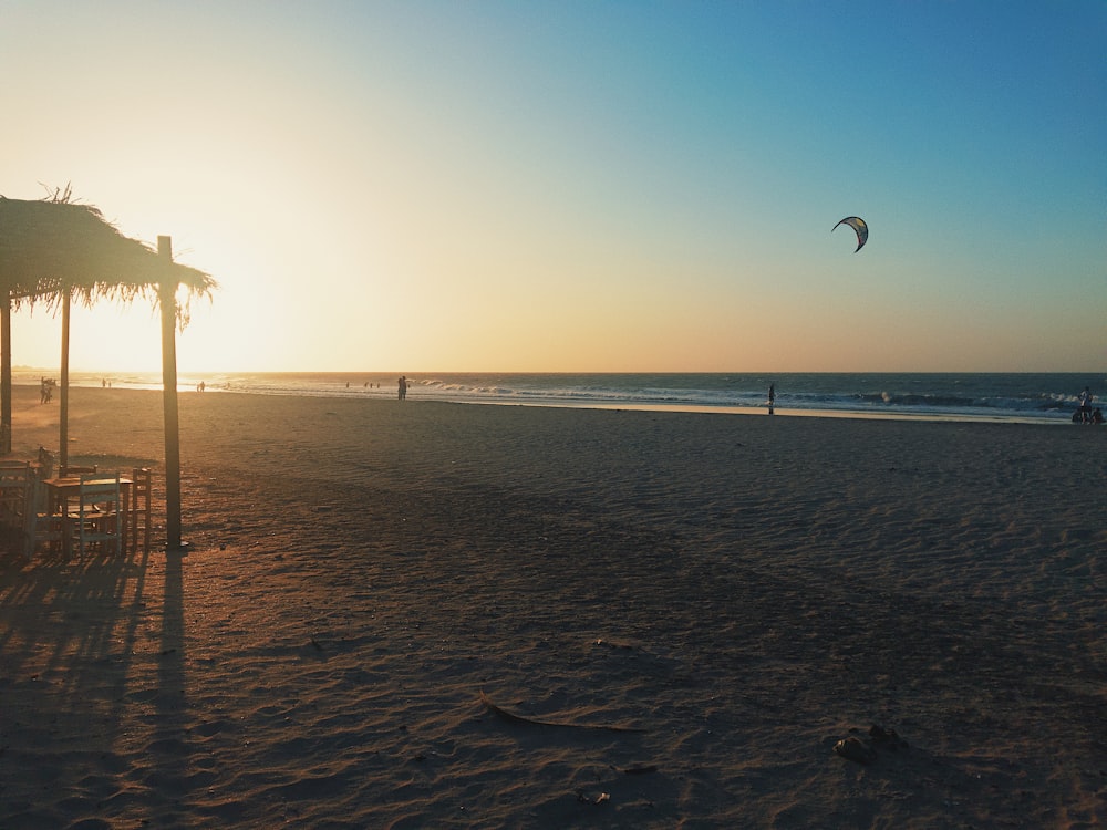 person doing kite surfing on beach during sunset