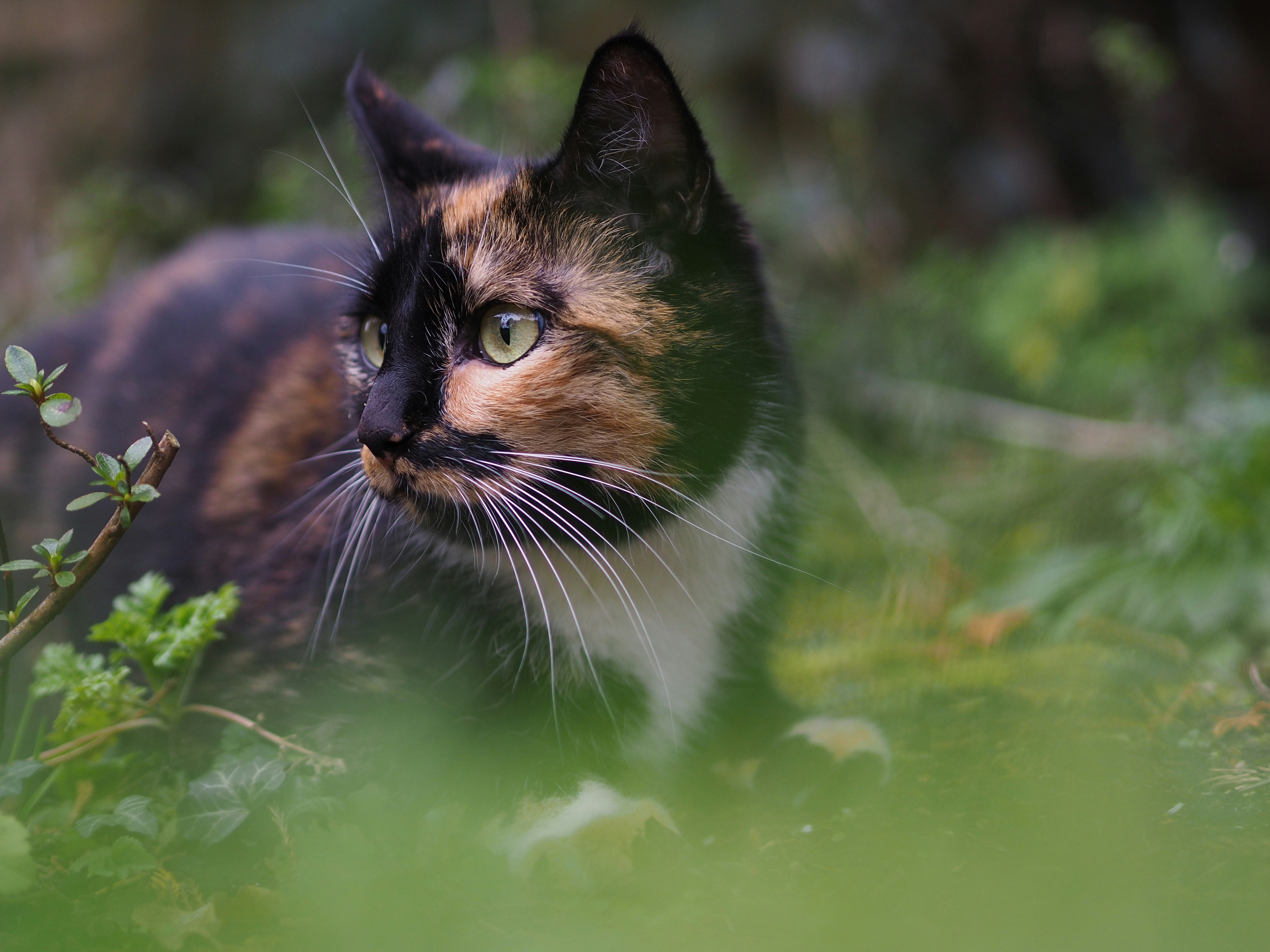 Photo by isabelnoschka