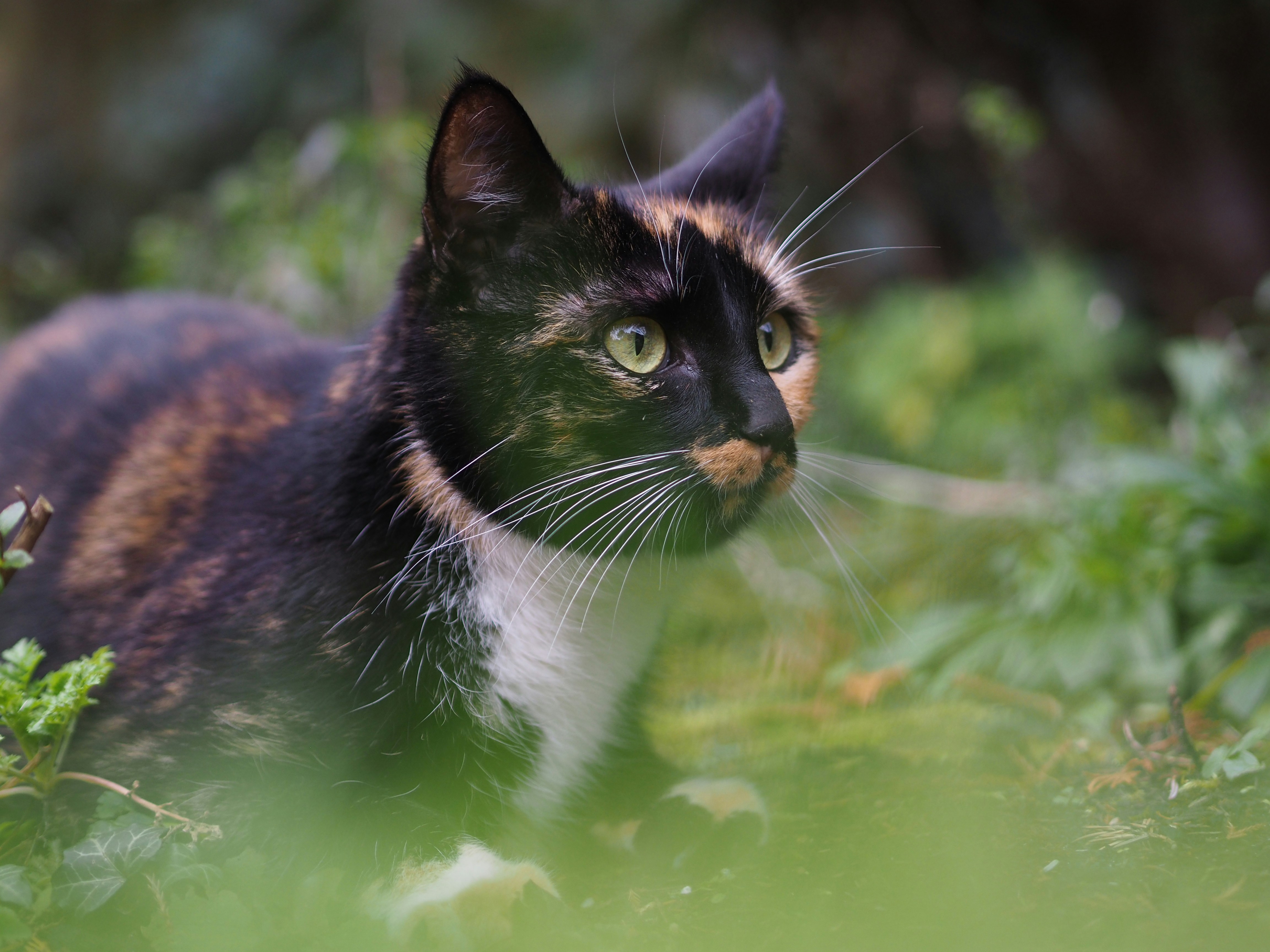 Photo by isabelnoschka