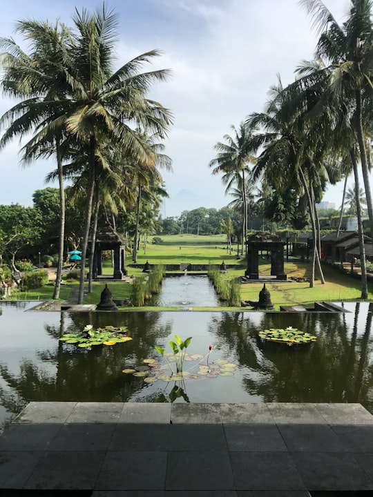 green palm trees near pond during daytime in Yogyakarta Indonesia